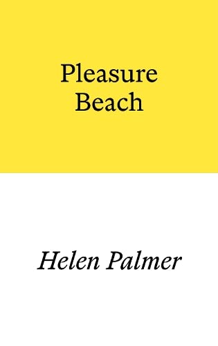 Book cover with yellow top half, white bottom half, and black text reading Pleasure Beach.
