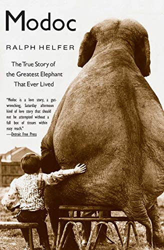Book cover featuring a boy embracing the rear of a large elephant.