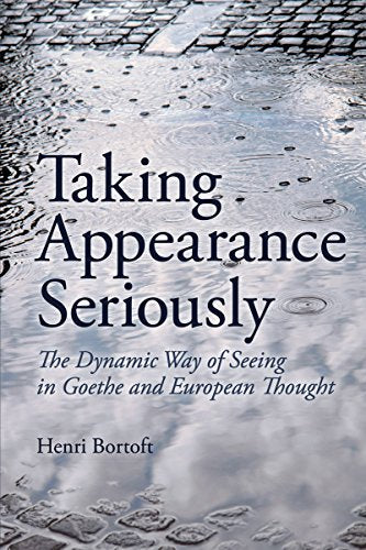 Book cover: "Taking Appearance Seriously" with a wet cobblestone background.