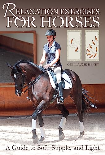 Book cover featuring a rider on a dark bay horse in an arena.