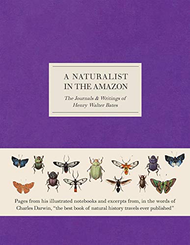 Purple book cover with insect illustrations and title: "A Naturalist in the Amazon".