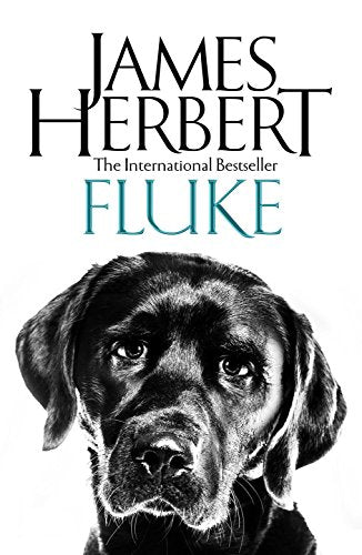 Book cover for "Fluke" featuring a black Labrador's face.