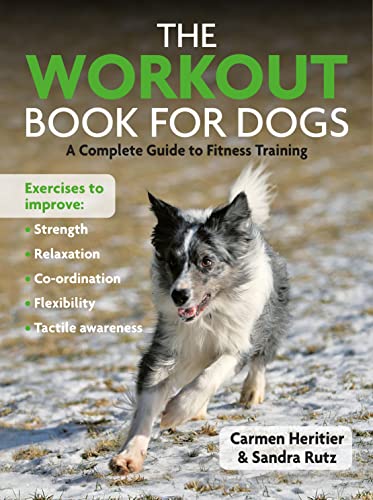Book cover featuring a border collie running on a beach.