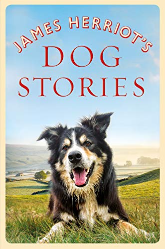 Book cover featuring a smiling border collie in a grassy field.