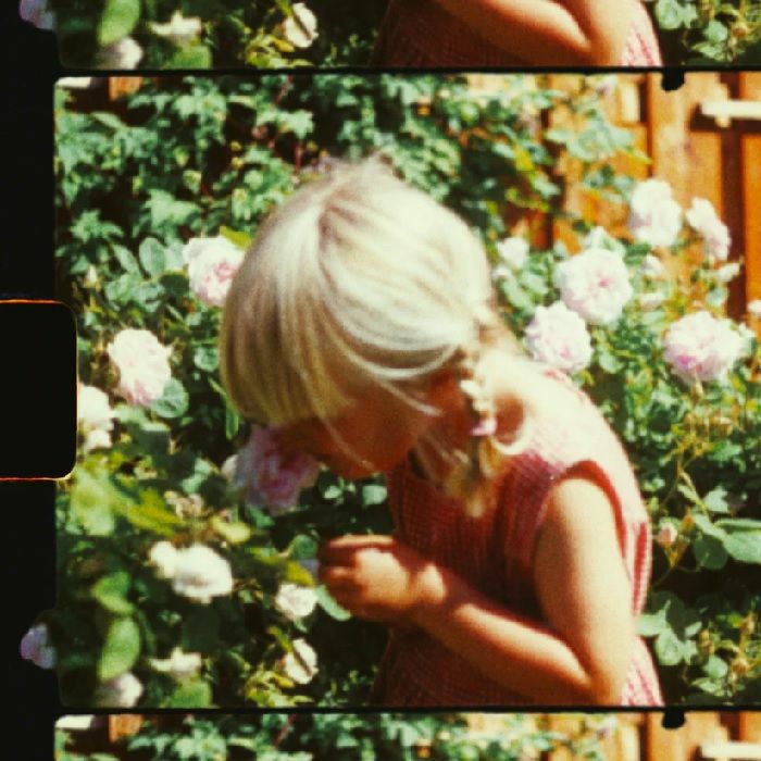 Child with blonde hair smelling pink roses in a garden.