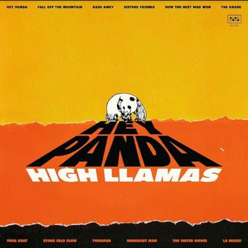 Vinyl cover with a panda illustration, orange and yellow background, and bold black text.