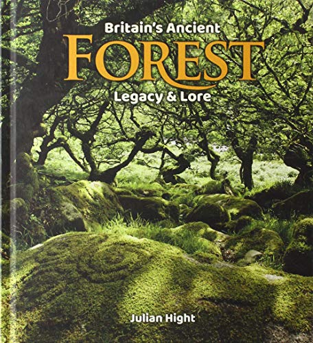 Book cover featuring a mossy forest with ancient trees and a stone carving.