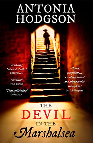 Book cover showing a silhouette of a person standing at the top of stairs.