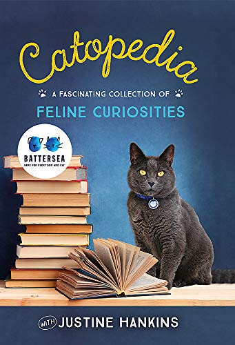Book cover featuring a gray cat sitting with a stack of books.