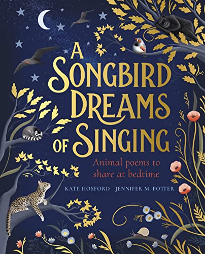 Book cover: dark blue, illustrated with birds, cats, and a crescent moon.