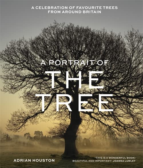 Book cover featuring a large, silhouetted tree against a misty landscape.