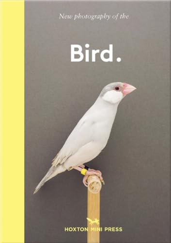 Book cover featuring a white bird perched on a wooden dowel.