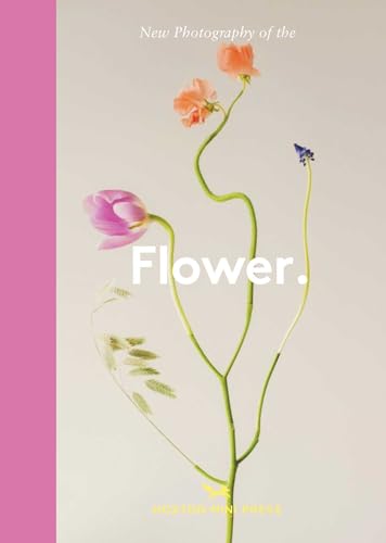 Book cover featuring a delicate, long-stemmed arrangement of colorful flowers.