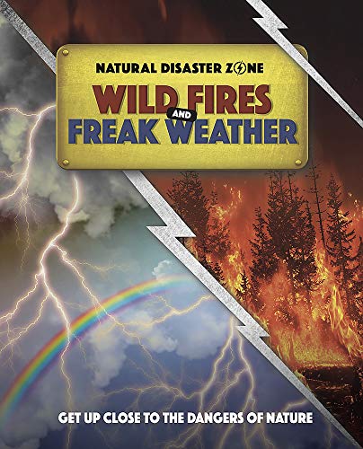 Book cover depicting a wildfire and stormy sky split diagonally.
