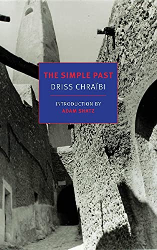 Book cover with blue title panel over a textured, monochrome architectural scene.