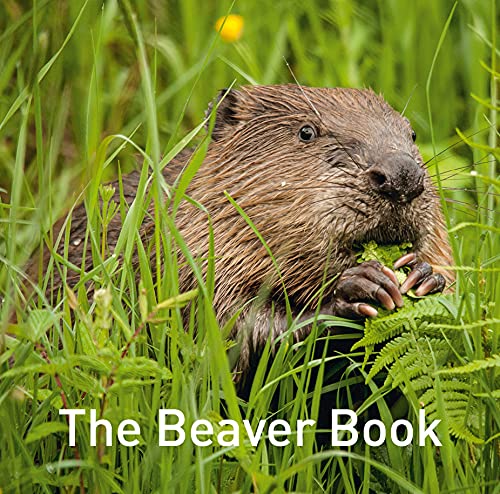 Beaver eating vegetation in tall green grass, book title overlayed.