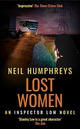 Book cover featuring a white truck, a dirt road, and a woman's silhouette.