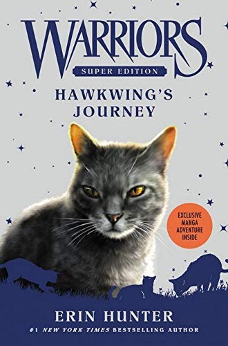 Book cover featuring a gray cat with yellow eyes, “Warriors” series.
