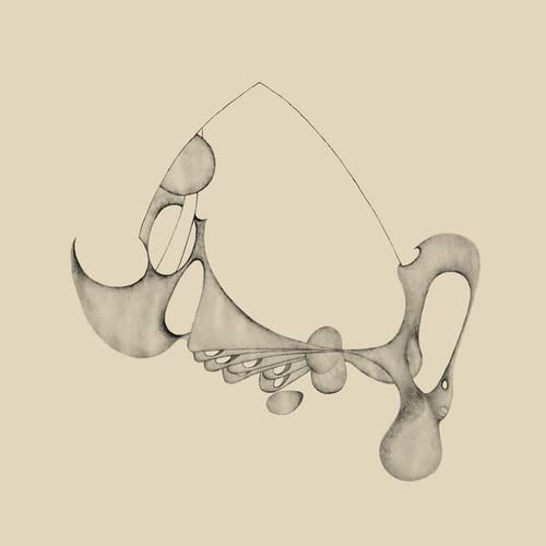 Vinyl record cover with abstract, flowing line art in grayscale.