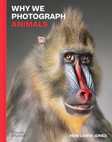 Book cover featuring a close-up portrait of a mandrill against a grey background.