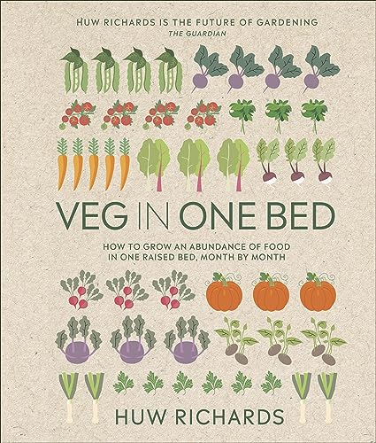 Book cover titled Veg In One Bed with illustrations of various vegetables on paper.