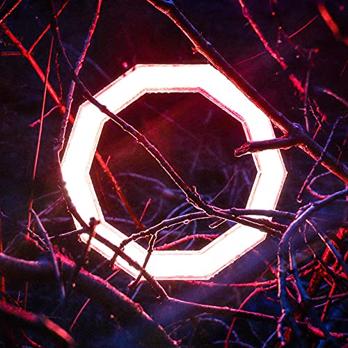 Illuminated octagon framed by dark, tangled branches in red and purple tones.