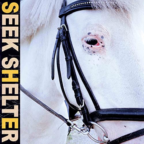 Close-up of a white horse’s face with bridle, album title overlayed.