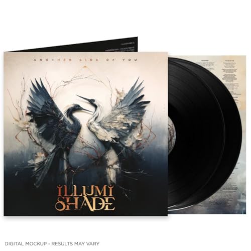 Vinyl record with album art featuring birds and abstract branches.