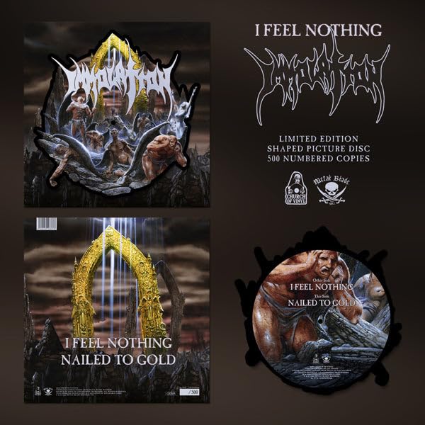 Immolation "I Feel Nothing" vinyl record, showing cover art and disc designs.