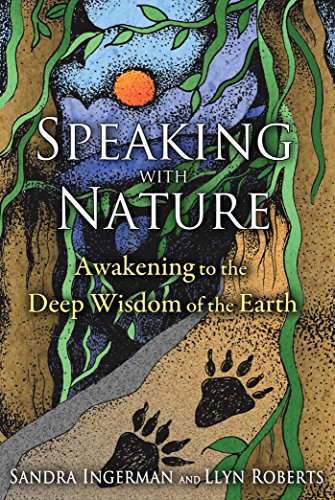 Book cover with swirling vines, a sun, and bear paw prints.