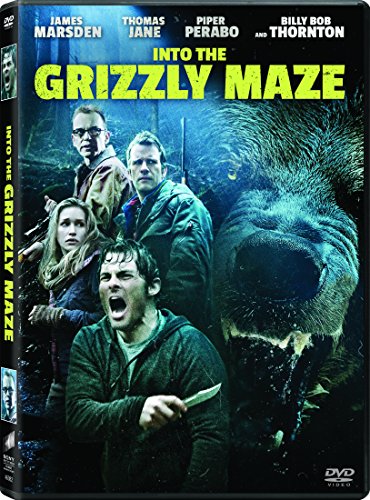 DVD cover for "Into The Grizzly Maze" featuring people and a bear.