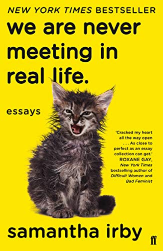 Book cover with a yellow background, black text, and a small, scruffy kitten.