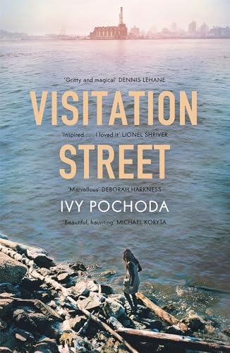 Book cover: woman on rocky shore, city and factory in background.