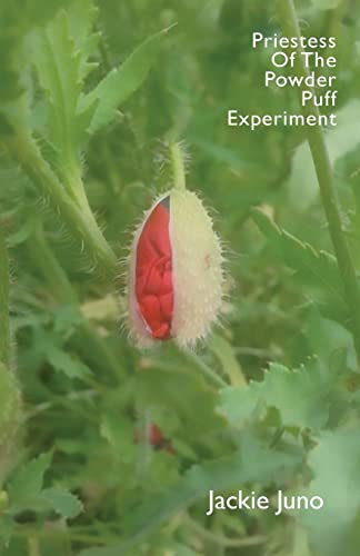 Book cover featuring a close-up of a poppy seed head amongst green leaves.