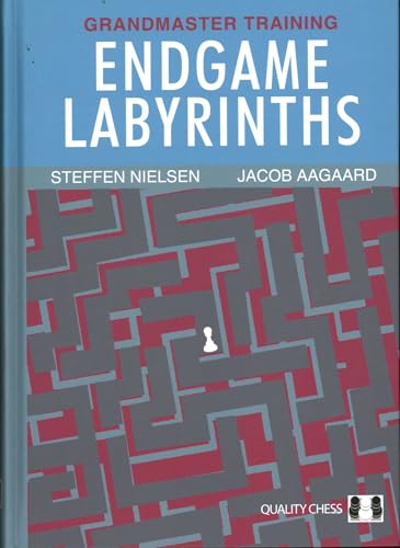 Book cover: “Endgame Labyrinths” with a maze and a lone chess piece.