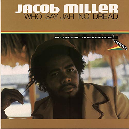 "Vinyl record cover featuring a man with dreadlocks, brown background, and artist's name."