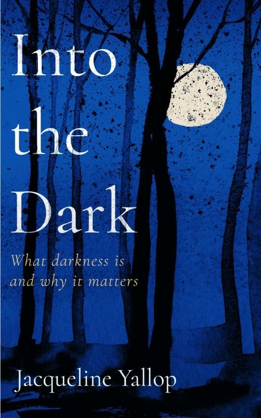 Book cover: dark blue with trees, moon, and white title "Into the Dark".