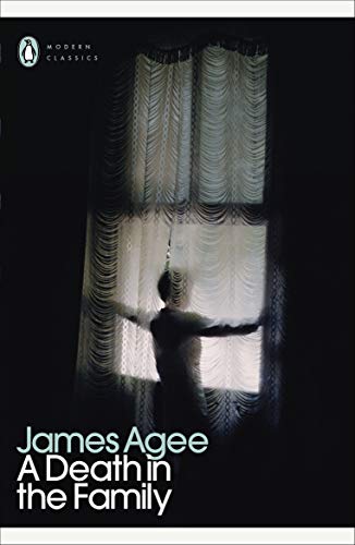 Book cover showing a silhouette of a person standing before a window with curtains.