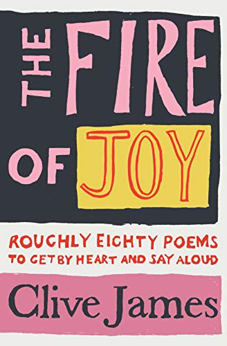 Book cover with bold pink and yellow text on a dark background.