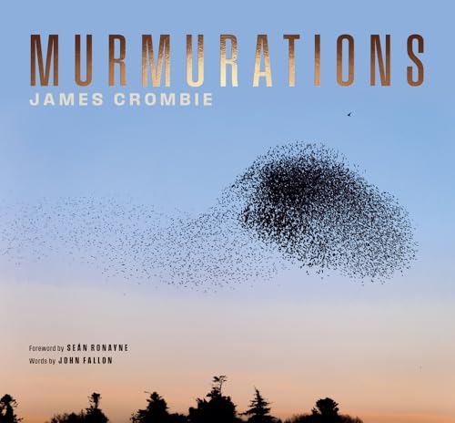 Book cover featuring a large flock of starlings against a sunset sky.