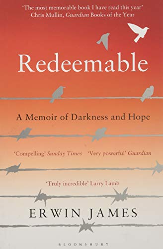 Book cover: "Redeemable" memoir with birds flying across orange and gray bands.