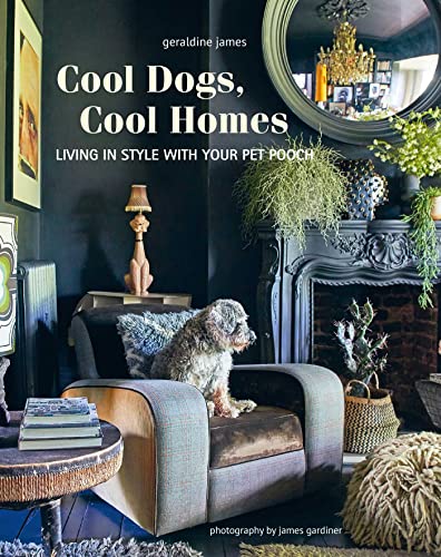 Book cover: dark room interior with a dog on a chair.