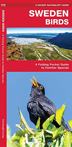 Cover of “Sweden Birds” pocket guide featuring a blackbird and landscape.