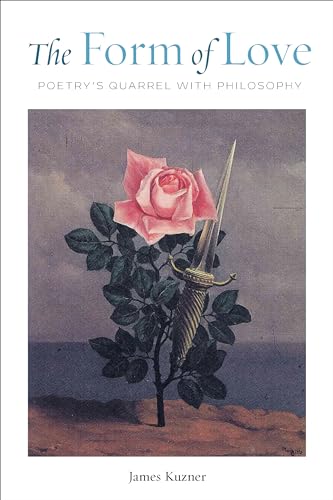 Book cover: rose pierced by a dagger against a dark, stormy sky.