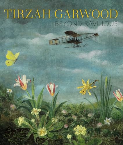 Book cover: airplane, flowers, and butterfly in a painted sky.