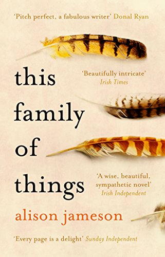 Book cover for This Family of Things by Alison Jameson featuring several bird feathers.