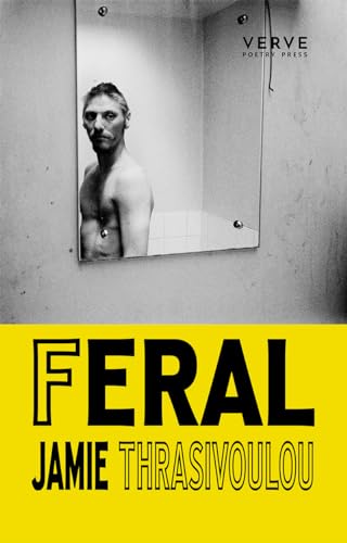 Book cover: shirtless man in a bathroom reflected in a mirror.