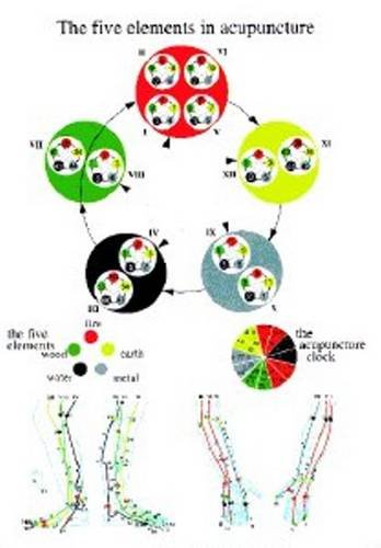 Acupuncture diagram illustrating the five elements cycle and meridian lines.