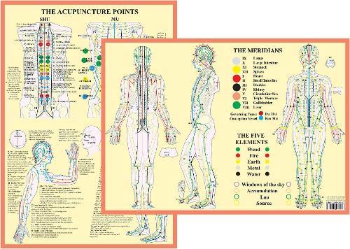 Educational chart showing human body acupuncture meridians, points, and the five elements.
