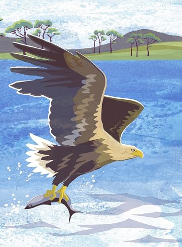 Sea eagle with fish, illustrated in flight over blue water.